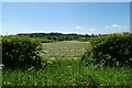 Farmland beside Moor Lane