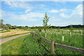 Cycleway past Pewsham Wood