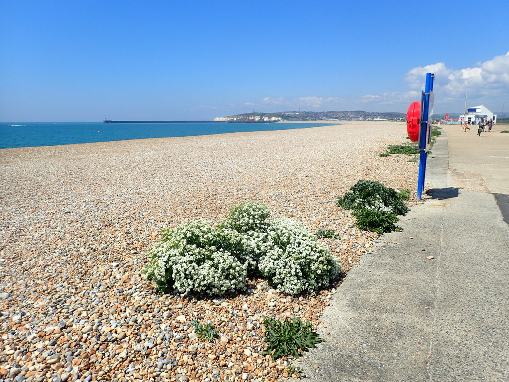 Marine Parade at Seaford © Marathon Geograph Britain and Ireland