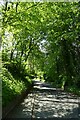 Ascending Church Lane