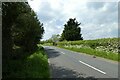 Tarn Lane near Brandon Hall