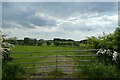 Field beside Tarn Lane