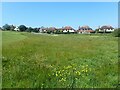 The edge of Seaford Head Golf Course