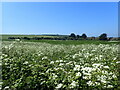 The edge of Seaford