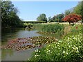 Pond near Avondale Road