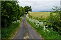 H5169 : Lisboy Road, Lisboy by Kenneth  Allen