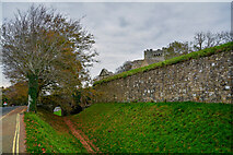 SZ4887 : Newport : Carisbrooke Castle by Lewis Clarke
