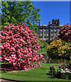 Rhododendrons and Biddulph Grange