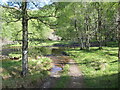 NH2933 : Glen Cannich - A fording place on the River Cannich by Peter Wood