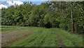 Path heading to Ditchley Park