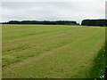 Silage field near Harthill