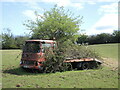 A flatbed in a tree