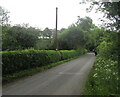 South along Glascoed Lane, Monkswood, Monmouthshire