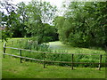 Pond behind Westerfield village hall