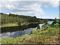 NY6889 : Belling Burn inlet of Kielder Water by James T M Towill