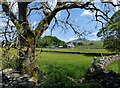 Dry Beck Farm view