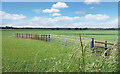 Flat Landscape west of Eynsham