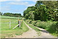 Farm track beside railway embankment