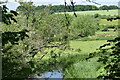 River Nadder at Burcombe