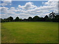 Field off Sheltwood Lane across from Grangefield House