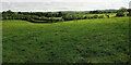 Field near Berry Pomeroy