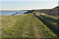 TG3731 : England Coast Path by N Chadwick