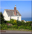 Cottage and a seagull, Coverack