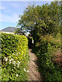 Path from Polecoverack Lane to Chymbloth Way, Coverack