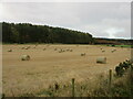 Bales near Barras