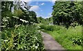 Towpath along the Staffordshire and Worcestershire Canal