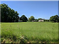 Playing fields in Wilcot