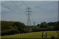  : Newport : Grassy Field & Pylons by Lewis Clarke