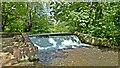 Weir in Cassiobury Park