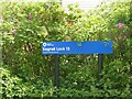 SK1614 : Bagnall Lock 13, Trent & Mersey Canal, Alrewas by Alan Murray-Rust