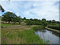 Caldon Canal south-west of Stockton Brook, Staffordshire