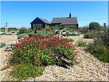 TR0917 : Derek Jarman's garden at Prospect Cottage, Dungeness by Marathon