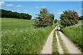 Track and farmland, Lambourn