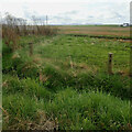 Ditch draining to Loch of Banks