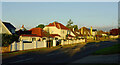 Houses on Shiphay Avenue