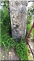 Benchmark on gatepost at field gateway on SW side of A6071