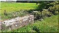 NY3967 : View of fields over NW parapet of Briscomire Bridge beside A6071 by Roger Templeman