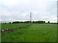 Crop field and pylon east of Huntingfaulds