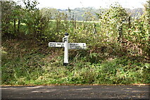 TQ8321 : Road sign, Furnace Lane by N Chadwick