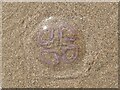 SS1397 : Jellyfish on Priory beach by Alan Hughes