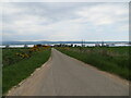 Minor road descending towards Newton of Cromarty