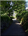 South West Coast Path, Coverack