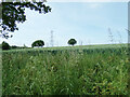 TL8837 : Farmland off Henny Road by Geographer