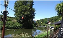 ST6470 : River Avon from the Old Lock and Weir Inn by HelenK