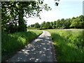 Bend in Goulders Lane