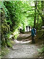 Bird watchers on the path